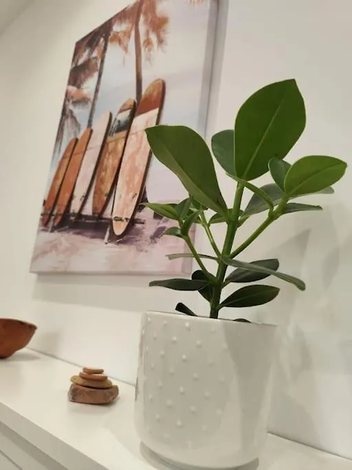 Apartamento De Playa, Blanes Apartment